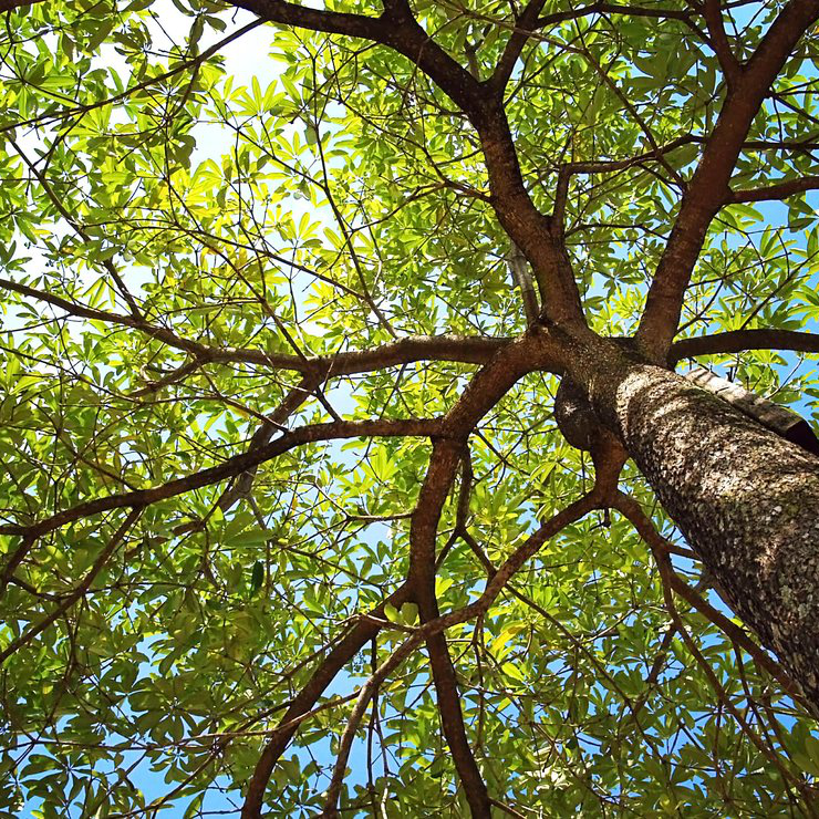 Atelier de jardinage 