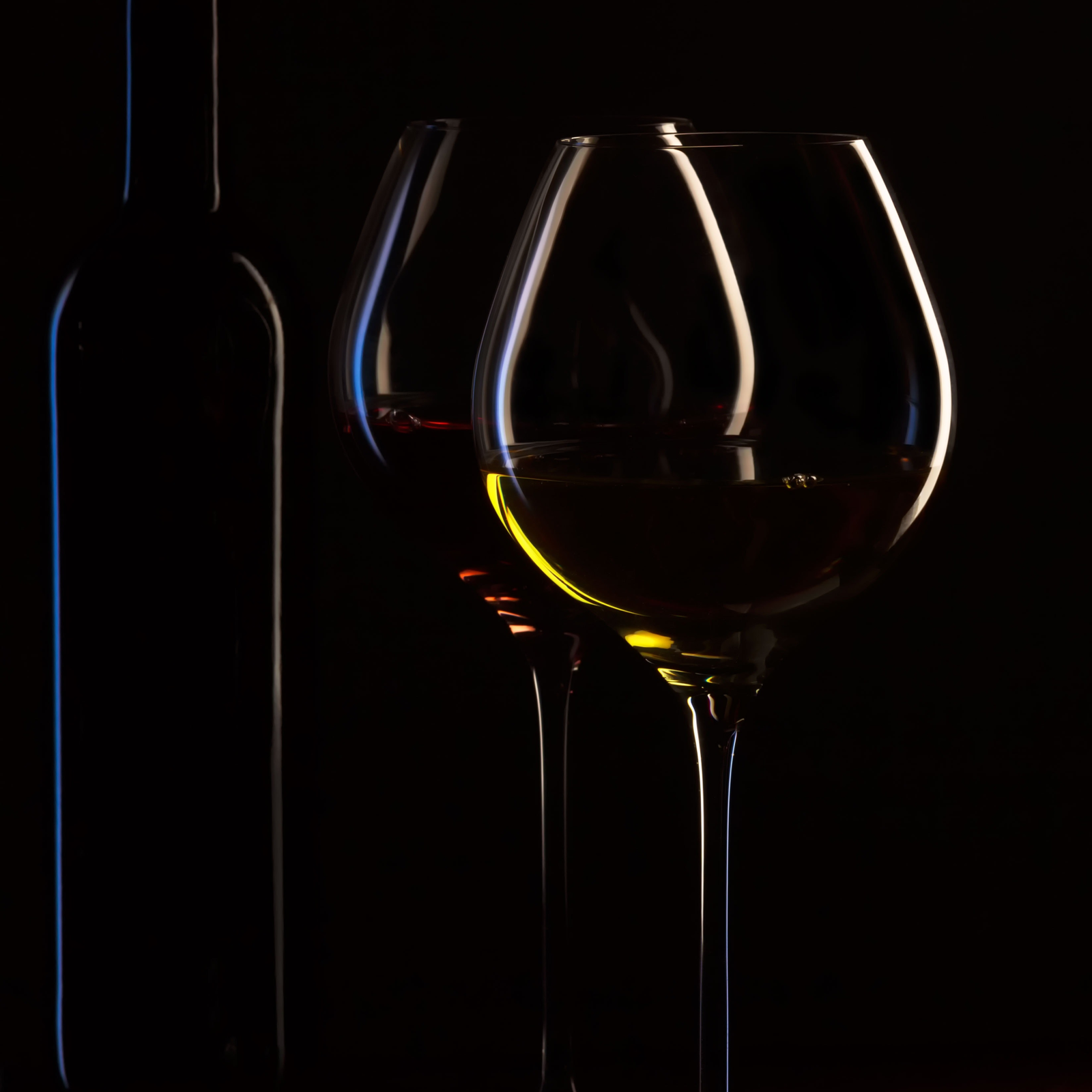 Atelier de découverte du vin et des terroirs