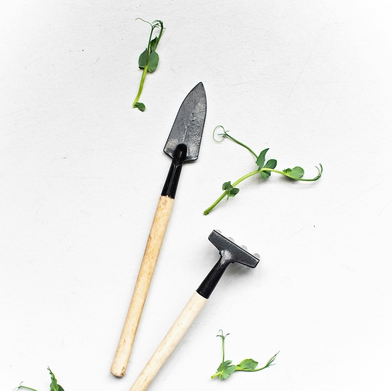 Green spaces & gardening