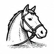 Sports équestres & animaux